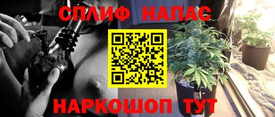 прущие крисы Ногинск
