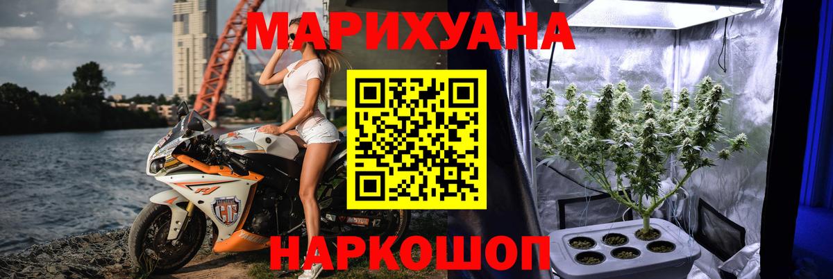 Конопля гибрид Выборг